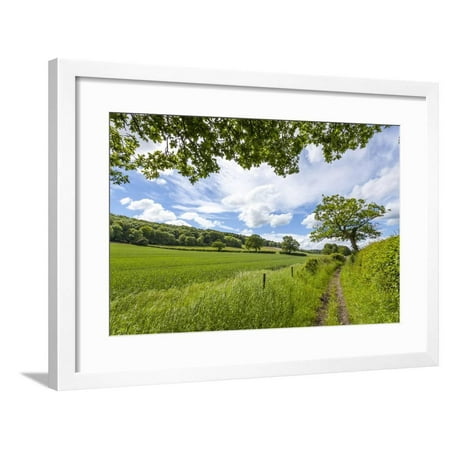 A Beautiful Day Along the Chiltern Walk, the Chilterns, Buckinghamshire, England Framed Print Wall Art By Charlie