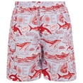 thumbnail image 4 of iBerryNY Mens Swim Trunks, Male Cargo Pockets Board Shorts, Mesh Lining, Whales, Small, 4 of 4