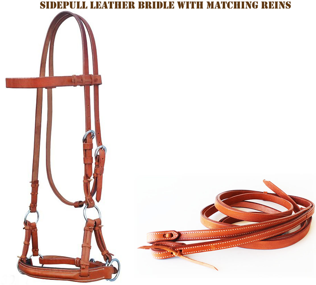 Horse Western Western Side Pull Padded Bridle Noseband Split Reins Cob