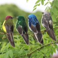 thumbnail image 2 of Estatuilla de pájaros Sharpla 4 piezas con plumas artificiales decoración interior Escultura al aire libre, 2 of 8