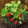 thumbnail image 1 of 4 soportes para fresas, mantienen las fresas limpias y libres de insectos, resistente y fácil de montar, soporte para plantas de fresa con 4 patas, soporte ajustable para cultivo de fresas oso de fresa Electrónica, 1 of 4