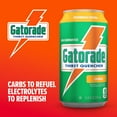 thumbnail image 3 of Gatorade Thirst Quencher Sports Drink Cans, Orange, Electrolytes, 11.6 fl oz Cans (18 Pack)​, 3 of 5