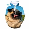 thumbnail image 3 of Sudadera con capucha con estampado 3D de perro PUG para hombre, sudadera con capucha divertida para niño, ropa de calle, sudaderas para hombres, 3 of 5