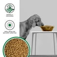 BIXBI Liberty Grain Free YPF5 Dry Dog Food, Original Puppy, 4 lbs