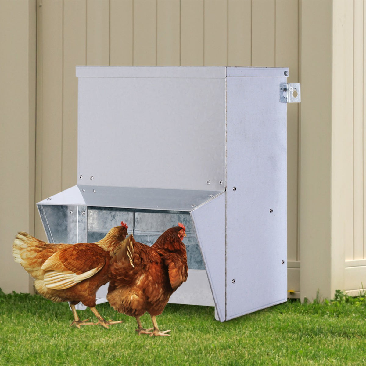 Small Wall Mountable Galvanized Steel Chicken Poultry Small Bird Trough Feeder 