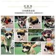 thumbnail image 5 of Dog Goggles Small Breed, Easy Wear,adjustable Uv/wind/dust/fog Protection, 5 of 5