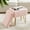 Pink, variant on Vanity Stool Chair with Storage, Faux Fur Ottoman for Makeup Footstools with Metal Legs, Classic Gray