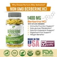 thumbnail image 3 of Nurture Alley Berberine Hcl 1400mg - Berberine Hcl 1200mg Plus Organic Ceylon Cinnamon 200mg - 90 Capsules - Supports Glucose Metabolism, Weight Management, 3 of 9