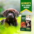 thumbnail image 3 of Dog Treats Rawhide Sticks Wrapped with Chicken 11 oz Pet Natural Chew Treats - Grain Free Meat & Human Grade Dried Snacks - Best for Small & Large Dogs (10.6 Ounce (Pack of 1), Smoked Chicken), 3 of 9