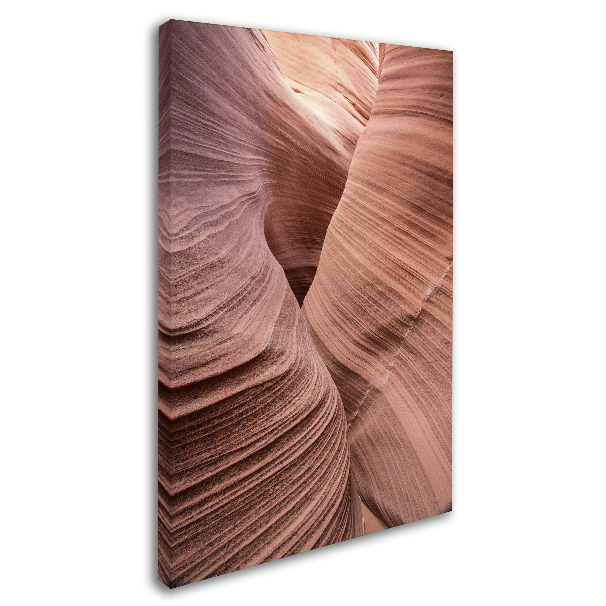 Trademark Fine Art "Spiral V" Canvas Art by Moises Levy