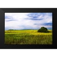 thumbnail image 2 of Hausenflock, Alan 24x17 Black Modern Framed Museum Art Print Titled - Marshland Storm II, 2 of 5