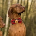thumbnail image 4 of BotaniNest Bow Tie Bowtie Collar With Print Pattern Festive Holiday Bow Tie For Cats And Colorful Webbing Design, 4 of 4