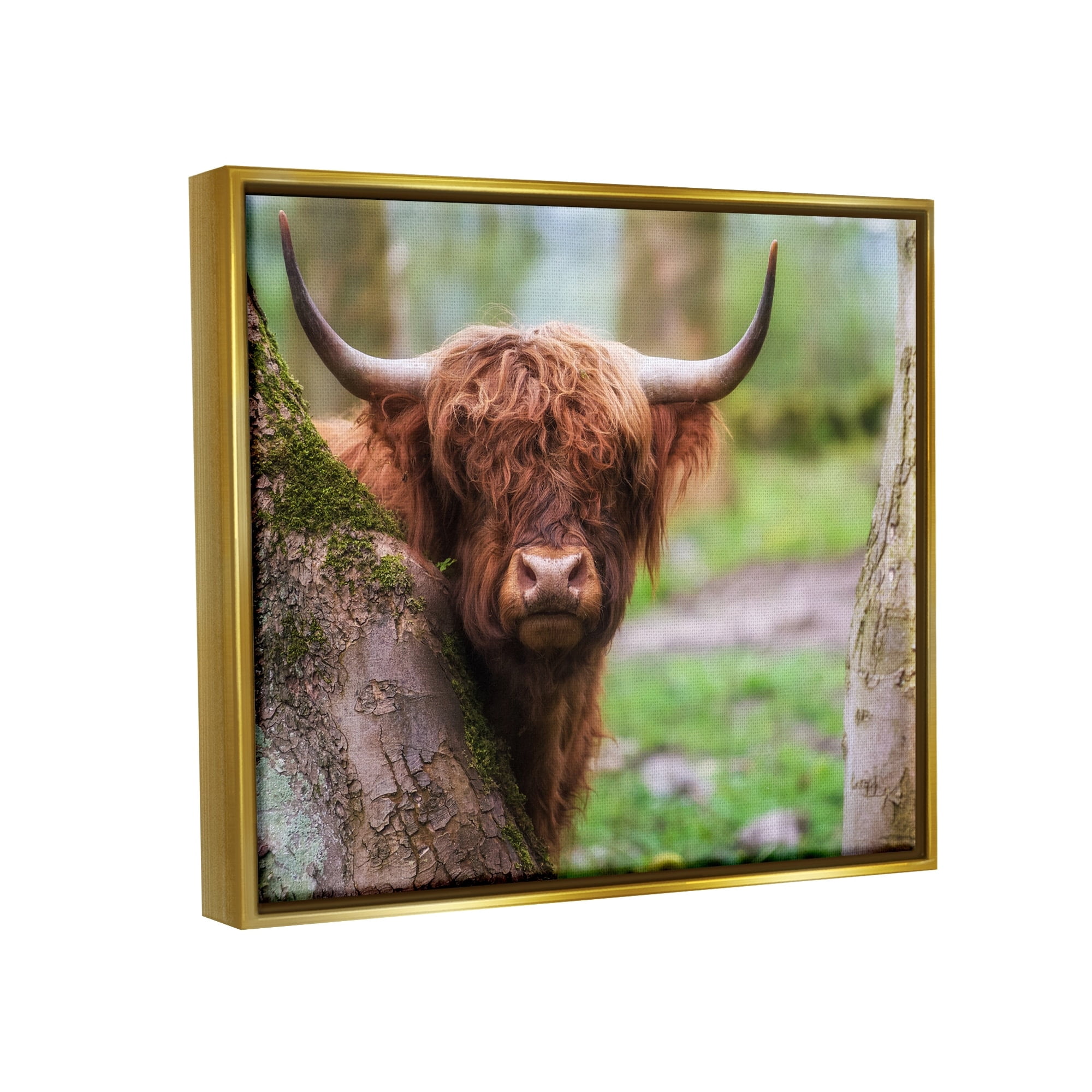 Stupell Industries Highland Cattle Peering Between Trees Lush Nature Scene Photograph Metallic Gold Floating Framed Canvas Print Wall Art, Design by James Dobson