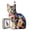 Rainbow Cat Toy Irregular Shaped Wooden Puzzle Standard Model L, variant on Mindful Zen-Cat Wood Puzzle for Adults, Complex Irregular Jigsaw with Hidden Forest Shards for Deep Relaxation and Digital Detox, High-Performance Mental Vitality Gift