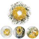 thumbnail image 4 of Decoraciones colgantes de puerta de primavera con corona de Daffodil Lane, 4 of 5
