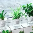 thumbnail image 4 of Bobasndm 3 Pack 4 Inch Clear Planter Pots, Large African Violet Plastic Pots, Absorbent Pots for Indoor Plants, Herbs, African Violet, Ocean Spider Plant, Orchid Planter, Clear, 4 of 8