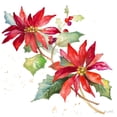 thumbnail image 2 of Loreth, Lanie 15x15 Gold Ornate Wood Framed with Double Matting Museum Art Print Titled - Poinsettias I, 2 of 4
