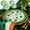 7 Inch, variant on Tarmeek St Patricks Day Paper Plates 10pcs, Disposable 7 Inch Green Shamrock Design Paper Plates Set, St.Patrick's Day Decorations Disposable Plates Set for Dinner