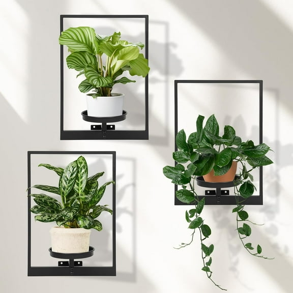 Wall Planters for Indoor , Window Shelves Set of 3, Wall Stand to Hold Large Pots - Holder for Indoor Outdoor Decor