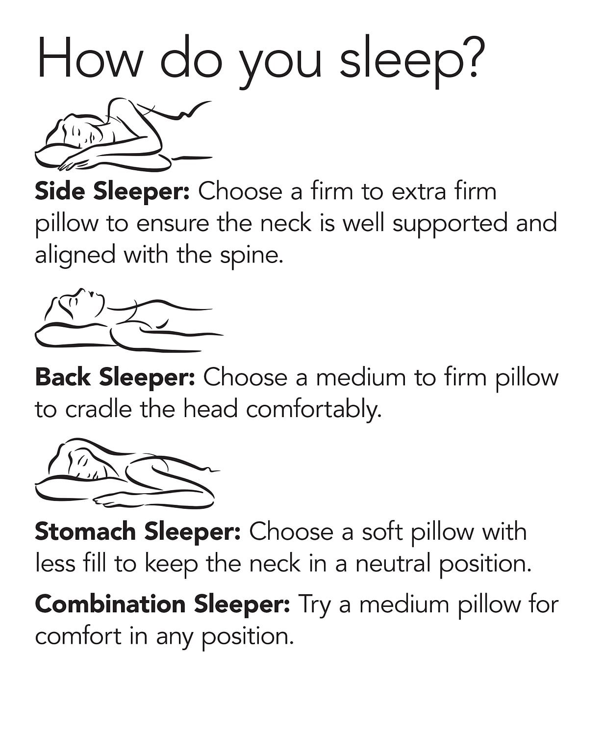 Charter club european top white down pillow