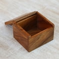 thumbnail image 3 of NOVICA Wood decorative box, 'Protective Gecko', 3 of 6