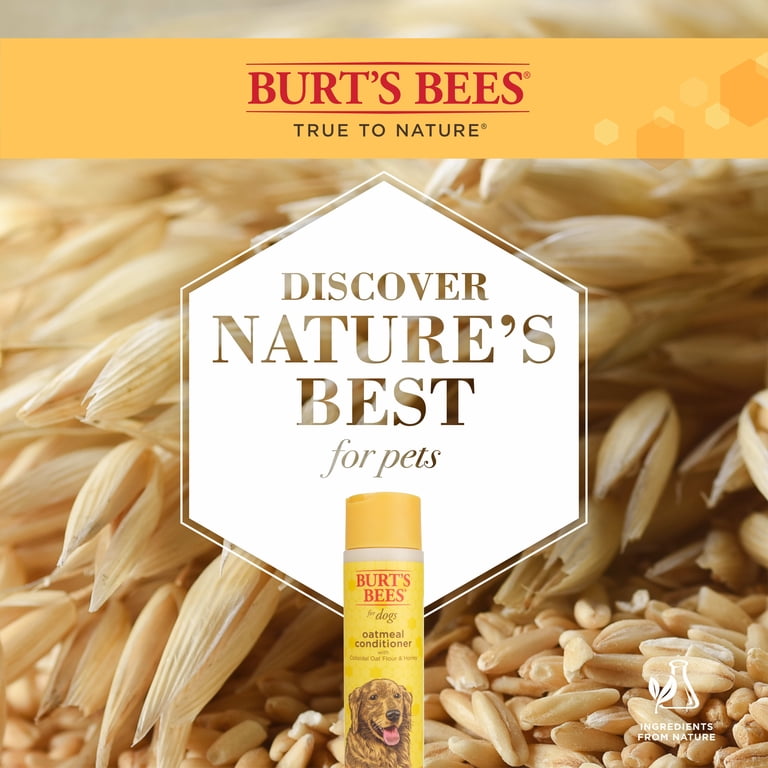 Burt's Bees Natural Oatmeal Conditioner for Dogs, 10 oz photo 6