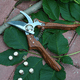 thumbnail image 4 of Tijeras de jardín, resistentes a la oxidación, diseño cómodo que ahorra trabajo para plantas de interior y exterior, hoja cromada dura con bloqueo de seguridad, podadoras de jardín portátiles que, 4 of 5