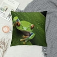 thumbnail image 2 of Shangniulu Animal Throw Pillow Cushion Cover, Red Eyed Tree Frog Hiding in Exotic Macro Leaf in Costa Rica Rainforest Tropical Nature, Decorative Square Accent Pillow Case, 2 of 5