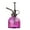 Purple, variant on D-GROEE Glass Plant Mister Spray Bottle, Vintage Pumpkin Shape Plant Spritzer, Succulent Watering Bottle with Top Pump, Small Plant Sprayer Mister Watering Can for Indoor Outdoor House Plant