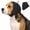 Black, variant on Amztom Waterproof Dog Ear Muffs, Adjustable Noise-Reducing Ear Wrap for Bathing & Grooming,(Gray,Small)