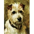 thumbnail image 2 of Emms, John 19x24 White Modern Wood Framed Museum Art Print Titled - Portrait of a Terrier: Darkie, 2 of 4