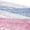 Blue/Purple, variant on Limited Too Girls 5-Pack Lace Waistband Bikini