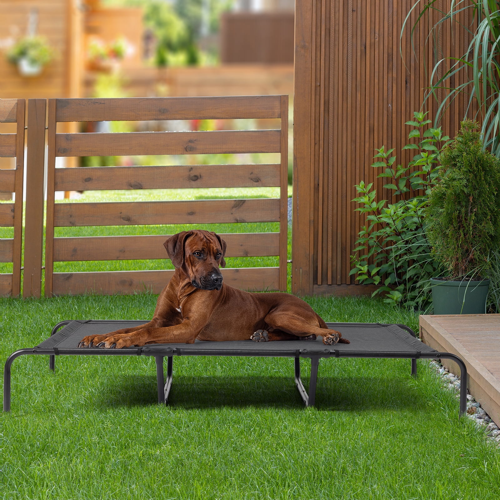 Ktaxon 60"D x 37"W Elevated Raised Cooling Cots Bed for Large Dogs, Portable Indoor & Outdoor Pet Hammock with Skid-Resistant Feet