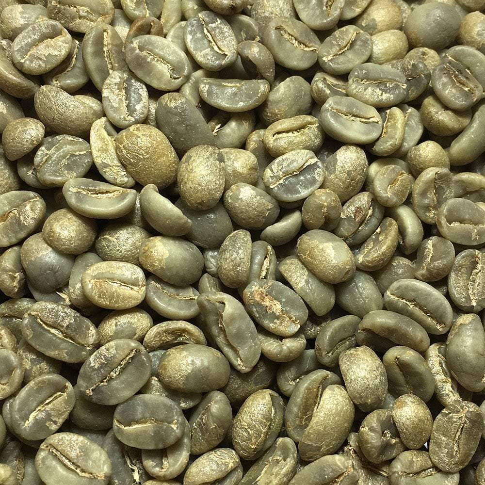 Fresh unroasted coffee beans