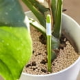 thumbnail image 2 of Medidor de Humedad del Suelo para Plantas de Interior (2 Unidades), Ideal para Plantas en Maceta de Interior (Tamaño Mediano), 2 of 5