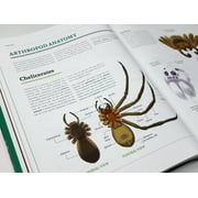 Fundamentals of Creature Design: How to Create Successful Concepts Using Functionality, Anatomy, Color, Shape & Scale, (Paperback)