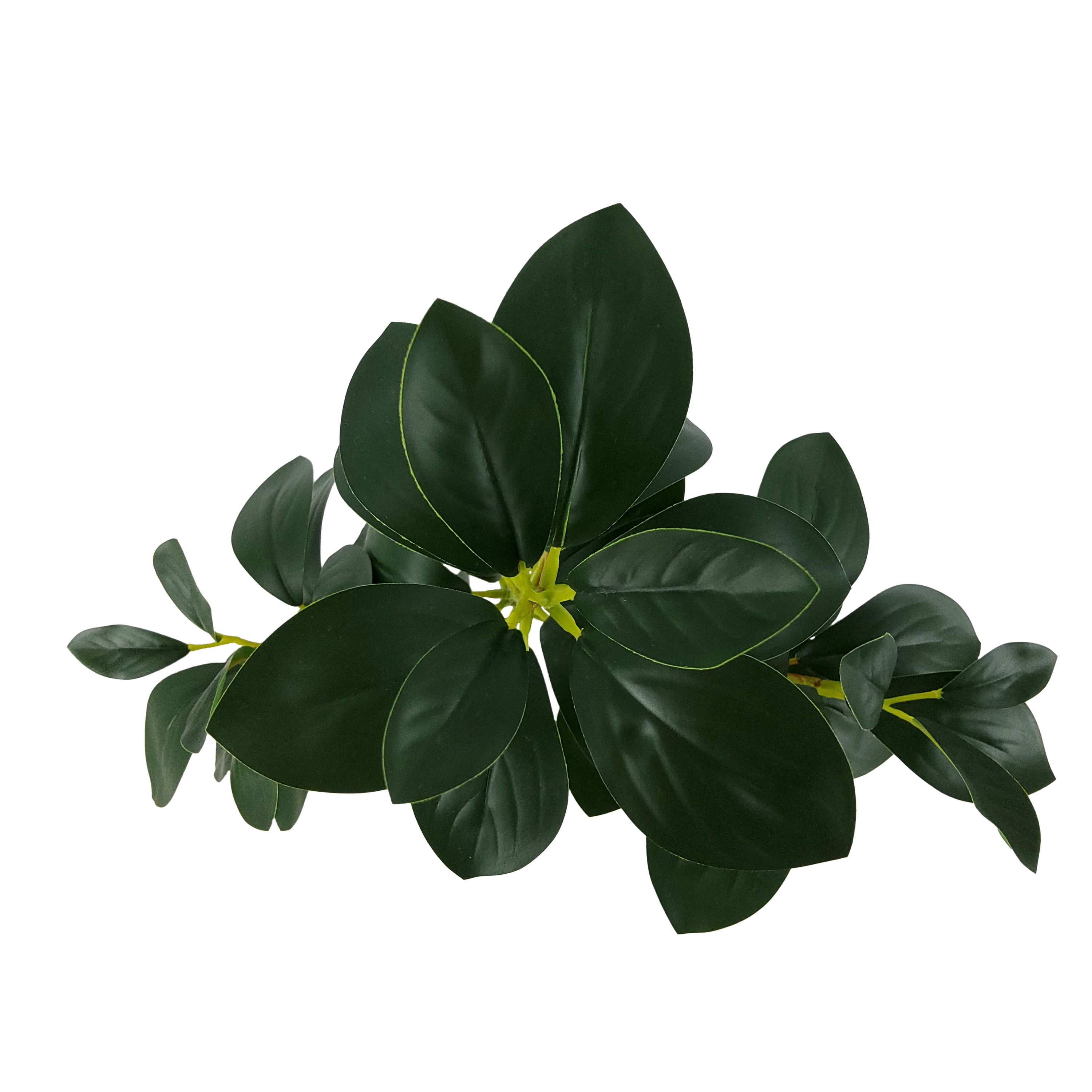 (2 pack) Mainstays 25.5" Indoor Artificial Foliage Stem, Peperomia, Green Color. Not in Pot.