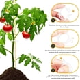 thumbnail image 6 of 100/200/300/500Pcs Plant Support Garden Clips Easy to Use Wide Application Plant Tomato Vine Vegetable Fastening Clips, 6 of 7