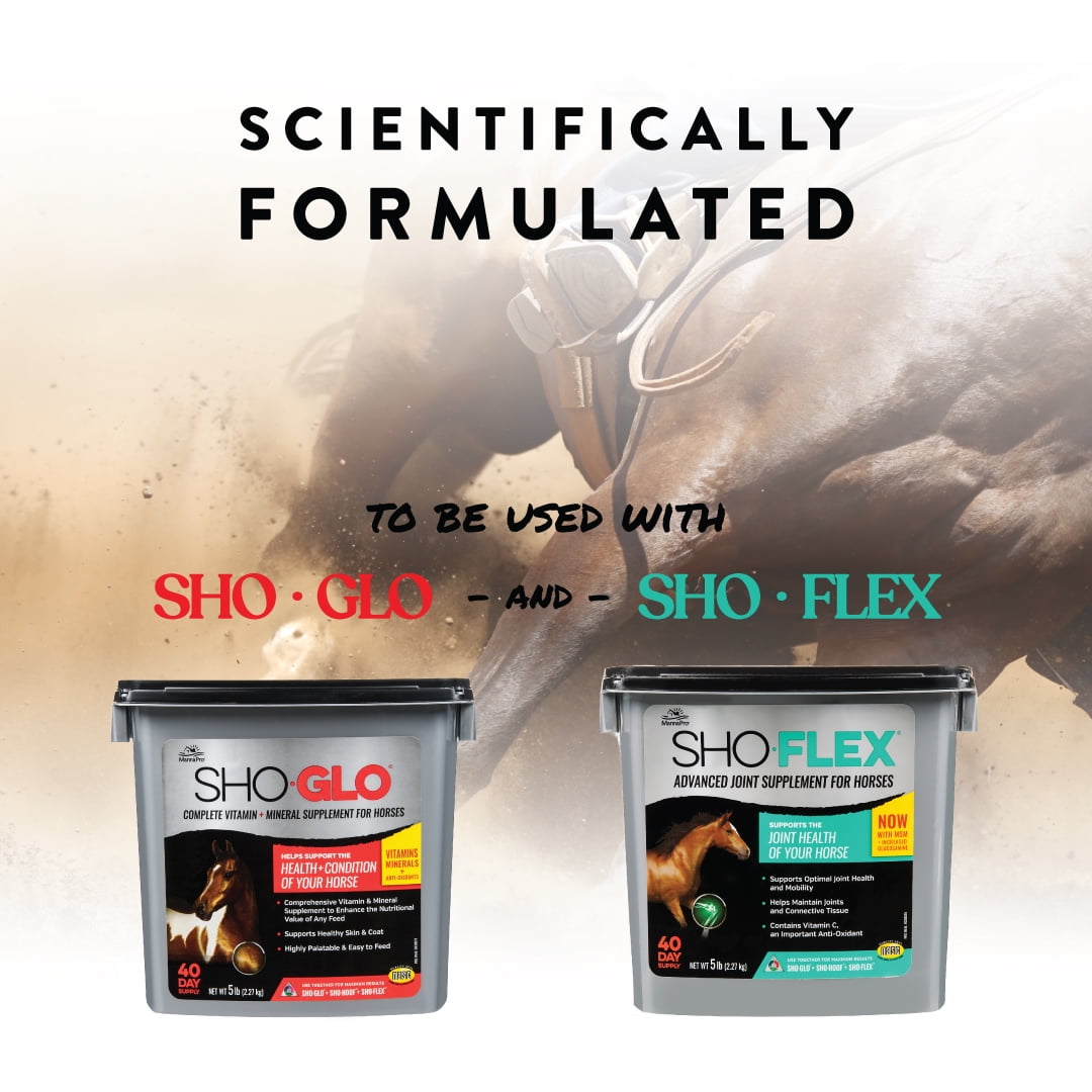 Manna Pro Sho-Hoof Supplement for Horses, Biotin and Zinc Methionine for Healthy Hooves, 5 lb