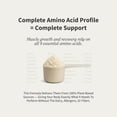thumbnail image 5 of Snap Vegan 21g Protein Powder, Plant Based, Vanilla 30 Servings, 5 of 11