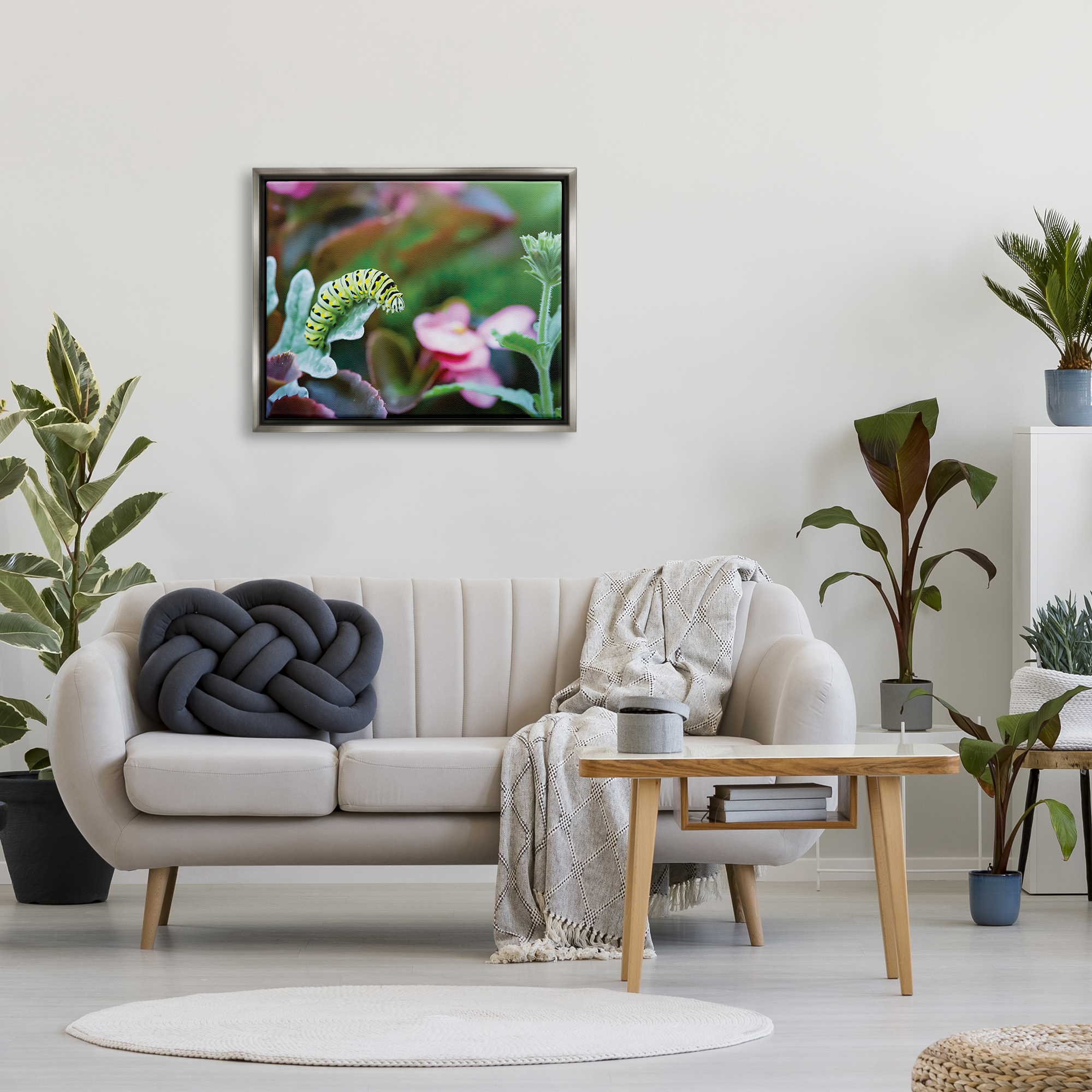 Stupell Industries Caterpillar Nature Photography Animals & Insects Photography Gray Floater Framed Art Print Wall Art, 31 x 25