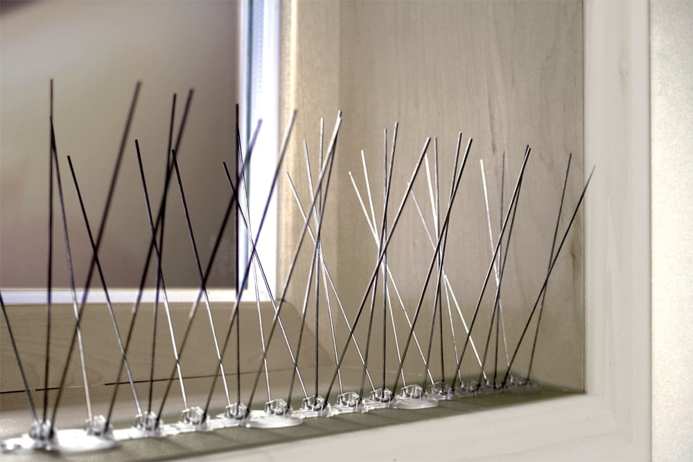 BIRD-X INC Stainless Steel Bird and Pest Repellent Spikes, 10 ft