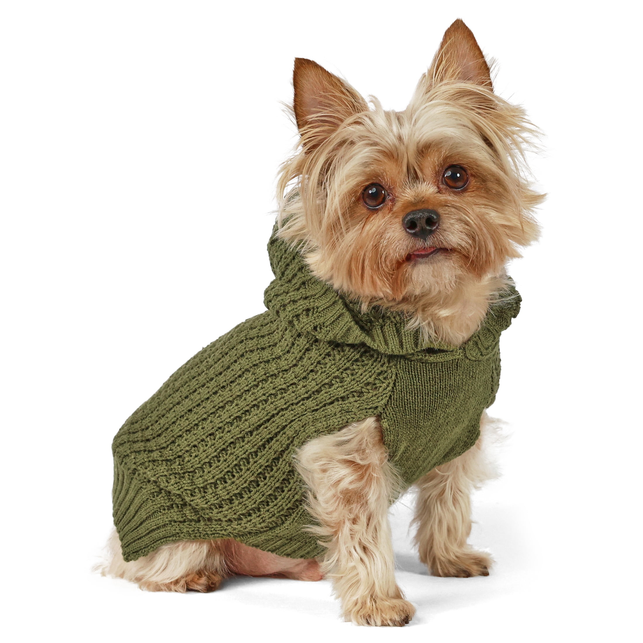 Vibrant Life Waffle Knit Sweater for Dogs and Cats, Green, XS
