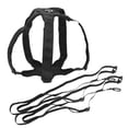 thumbnail image 2 of Volleyball Spike Trainer Nylon Black For Volleyball Players Gym Training 1 Set, 2 of 9