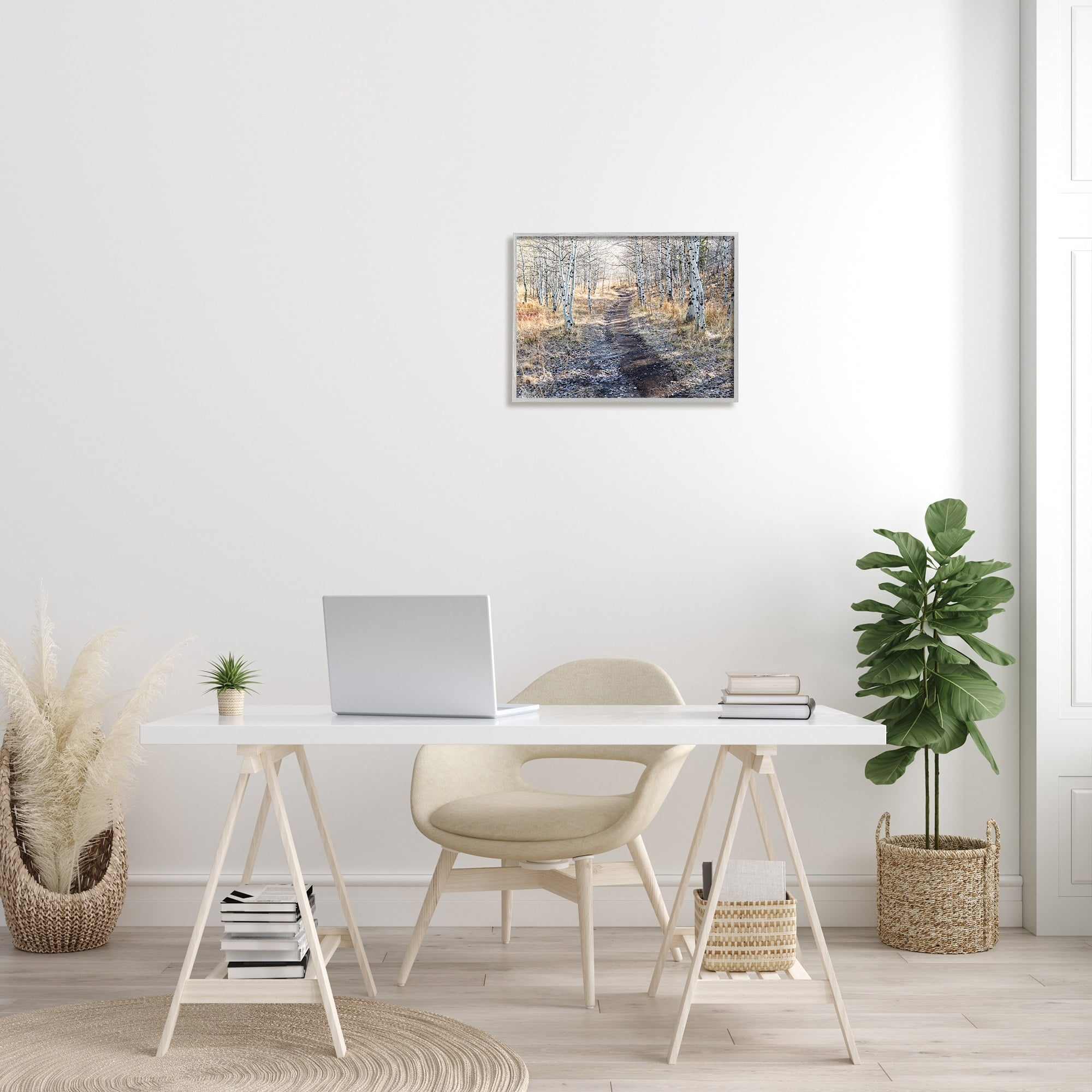 Stupell Industries Dirt Path Between Birch Tree Forest Woodland Scene Photograph Gray Framed Art Print Wall Art, Design by Steve Smith