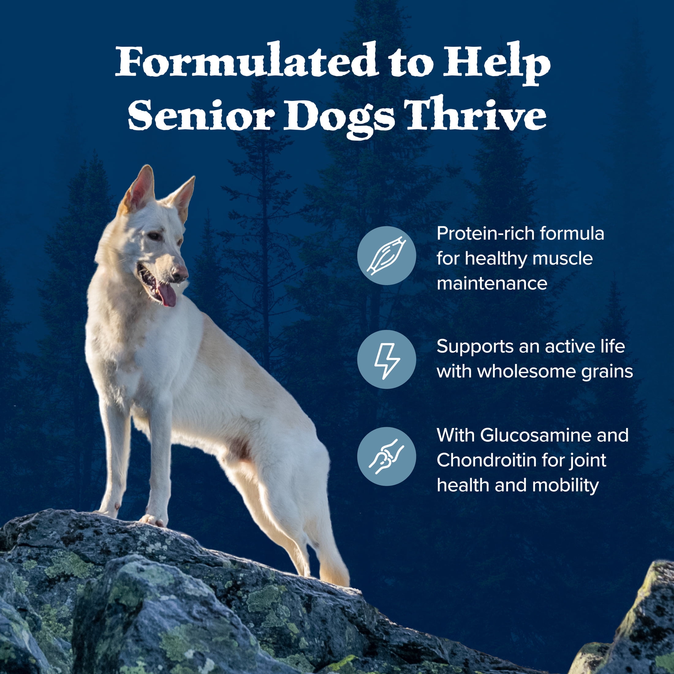 Blue Buffalo Wilderness High-Protein Natural Senior Dry Dog Food, Chicken Recipe, 28-lb.