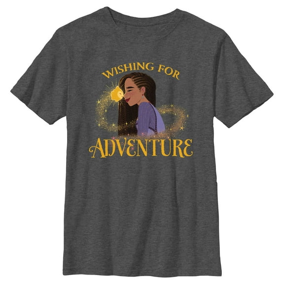 Boy's Disney Wish Asha Wishing For Adventure T-Shirt - Charcoal Heather - Large