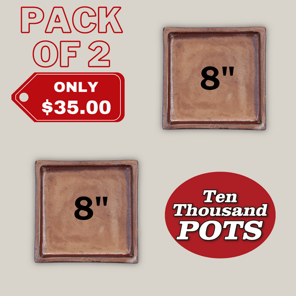 Square | Oxide Ceramic Plant Saucer | High Fired Ecofriendly Clay - Sizes 8"-15" - FREE SHIPPING (Oxide, High-FiredCeramic, 8"W-PACKOF2)