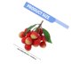 thumbnail image 2 of unbranded Decorativa Artificial Roja Con Apariencia Natural Para Ambiente Y Cocina, 2 of 6