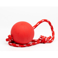 thumbnail image 1 of Lishi Pet Rubber Chew Toy Ball on a Rope Dog Interactive Ball Thrower large, 1 of 6